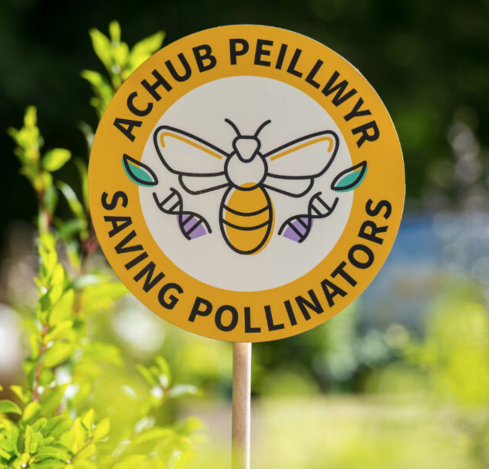 The National Botanic Garden of Wales runs a Saving Pollinators Assurance Scheme